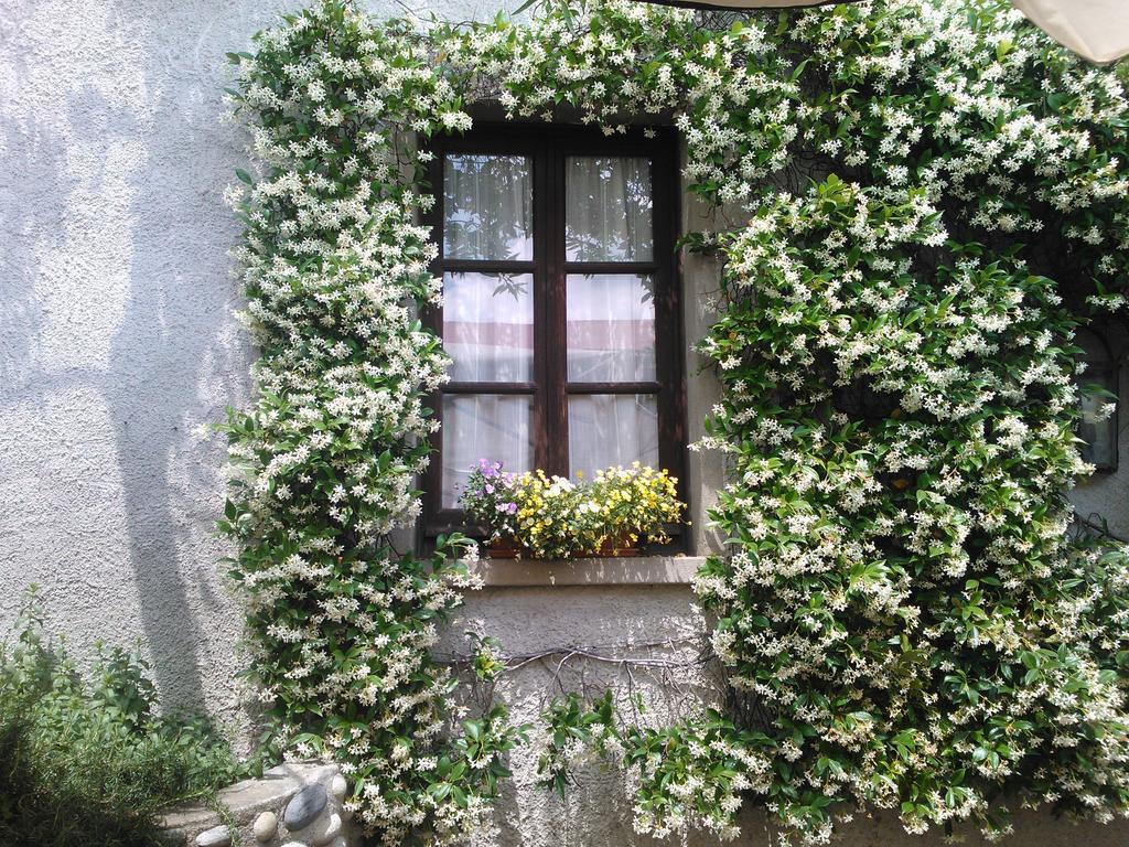 Agriturismo Cassinazza Orsenigo Zimmer foto